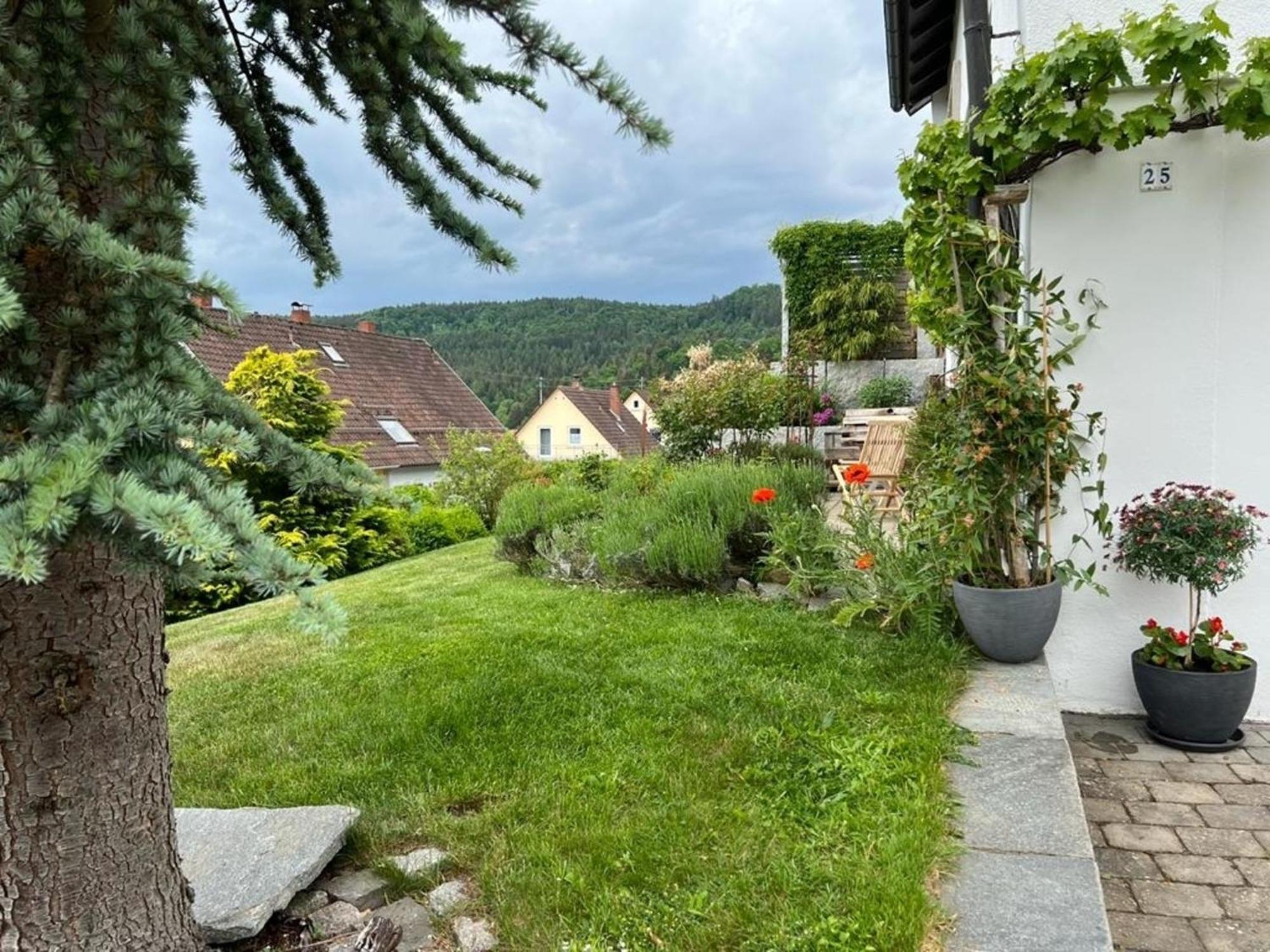 Fridingen an der Donau Ferienwohnung Jardin De Lavande מראה חיצוני תמונה